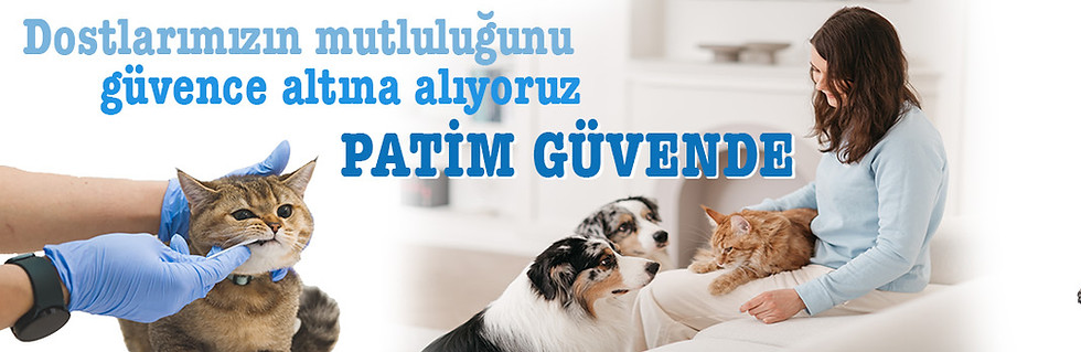 Patim Güvende sigortası ana sayfa banner