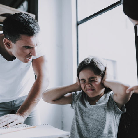 Les Violences Educatives Ordinaires