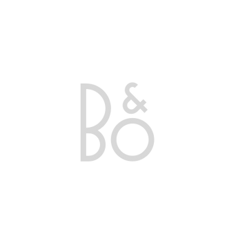 B&O.png