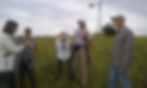 DeHaven_Botanist Dina Clark & Company