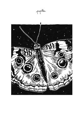 Marion Roger Papillon.jpg