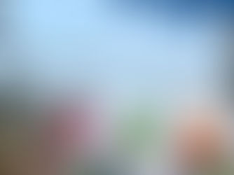 第68回 湘南ひらつか七夕まつり「ボランティア募集 -2018年-」(平塚市)