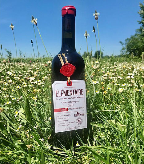 photo_elementaire.jpg