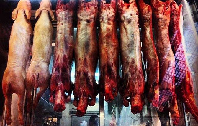 Cabeza de Vaca e os europeus canibais na América