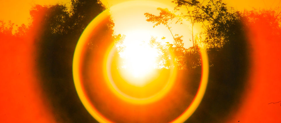 A Importância do Outono