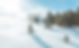 iStock-1076436610.jpg
