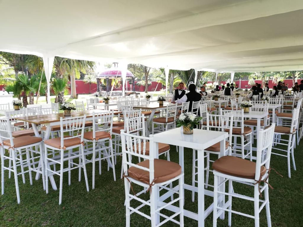 Silla Periquera Tiffany