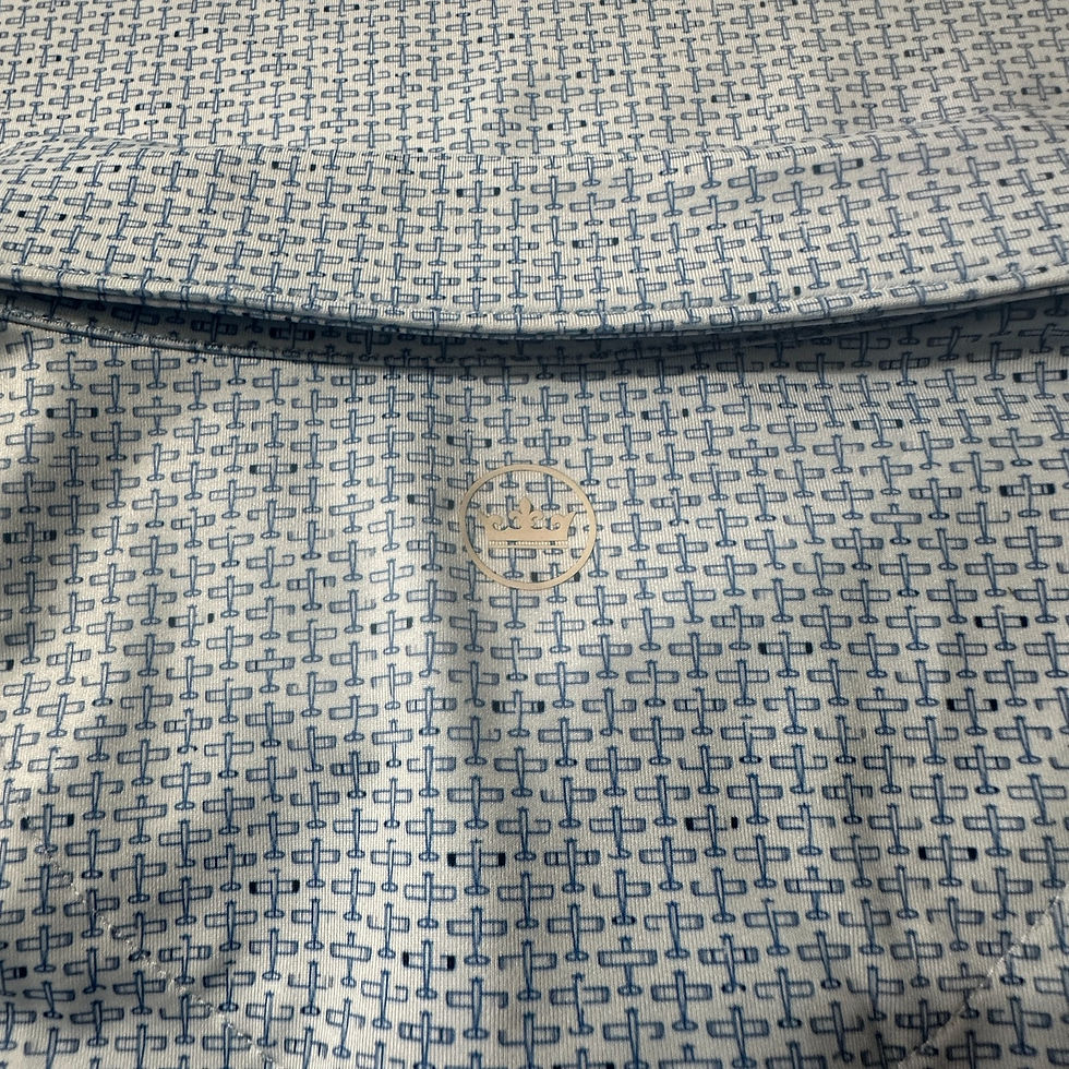 Thumbnail: Peter Millar Summer Comfort Take Flight Polo Light Blue SIZE XL 00464-MB3