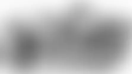 The Implications of a Bank Run