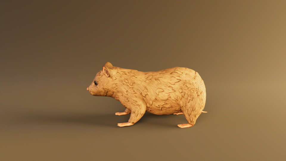 Hamster_Jump_Render.gif