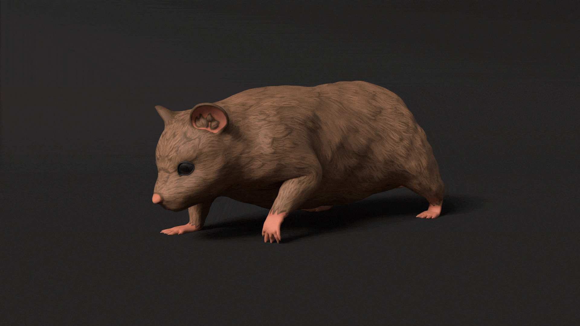 Hamster_Turn_3.gif