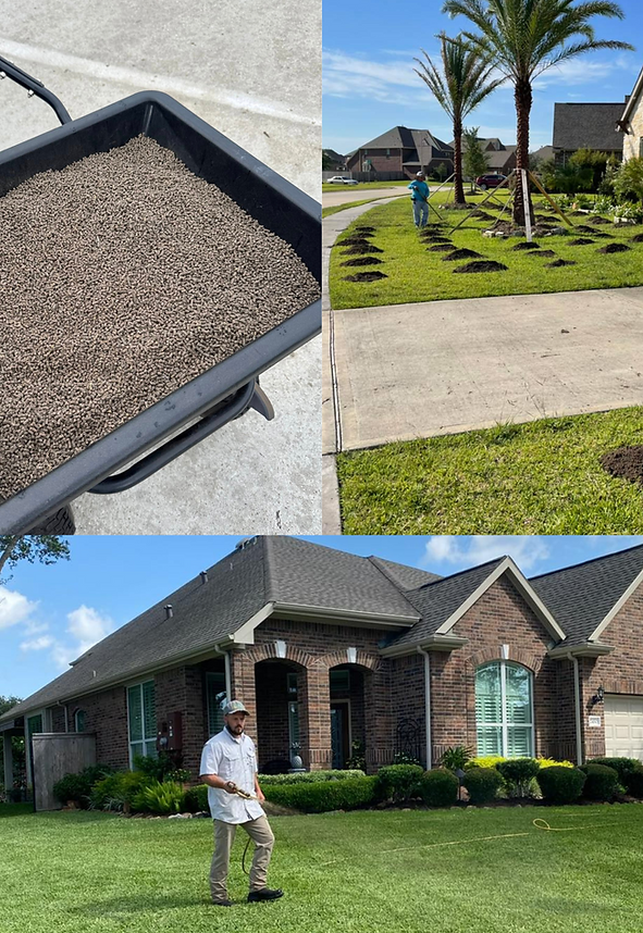 organic fertilizer + soil + hippie juice = healthy lawns