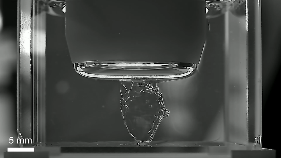 3D printed organ using dynamic interface printing