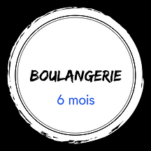 intothe ocean (5).png