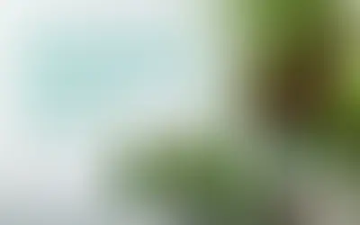 🌱✨ How to Set Up Plant Grow Lights for Thriving Plants!🌿💡