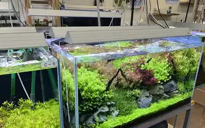 🌊 Lighting Wonders: CTT’s Aquarium Innovation at CHARM JAPAN! 🐠✨