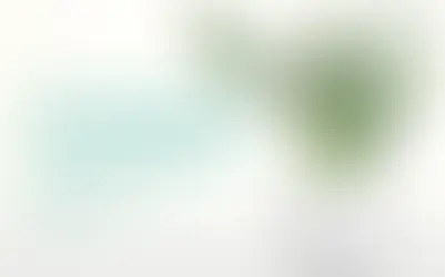 🌻🌞 The Importance of Light Duration: Why Plants Need Rest Too!