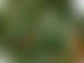 KICKIN' IT FIT - SEPTEMBER - What I'm Eating?