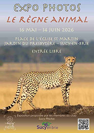 2026 Affiche Règne Animal.jpg