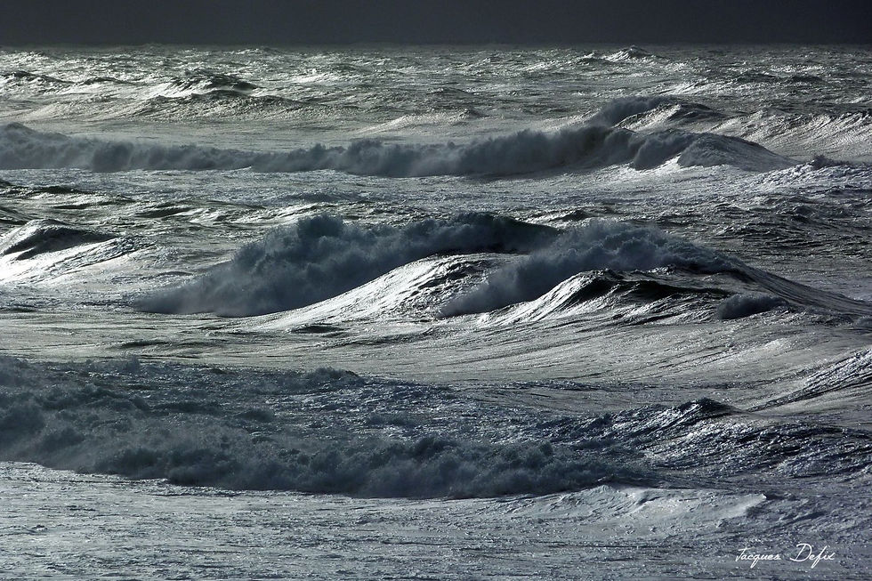 JACQUES_DEFIX_Vagues Labenne- Océan.jpg