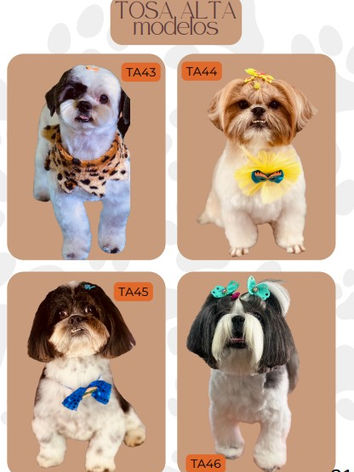 CATÁLOGO DE TOSAS - GROOMER ACADEMY - JANAINA SALETE