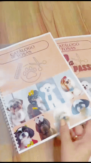CATÁLOGO FÍSICO