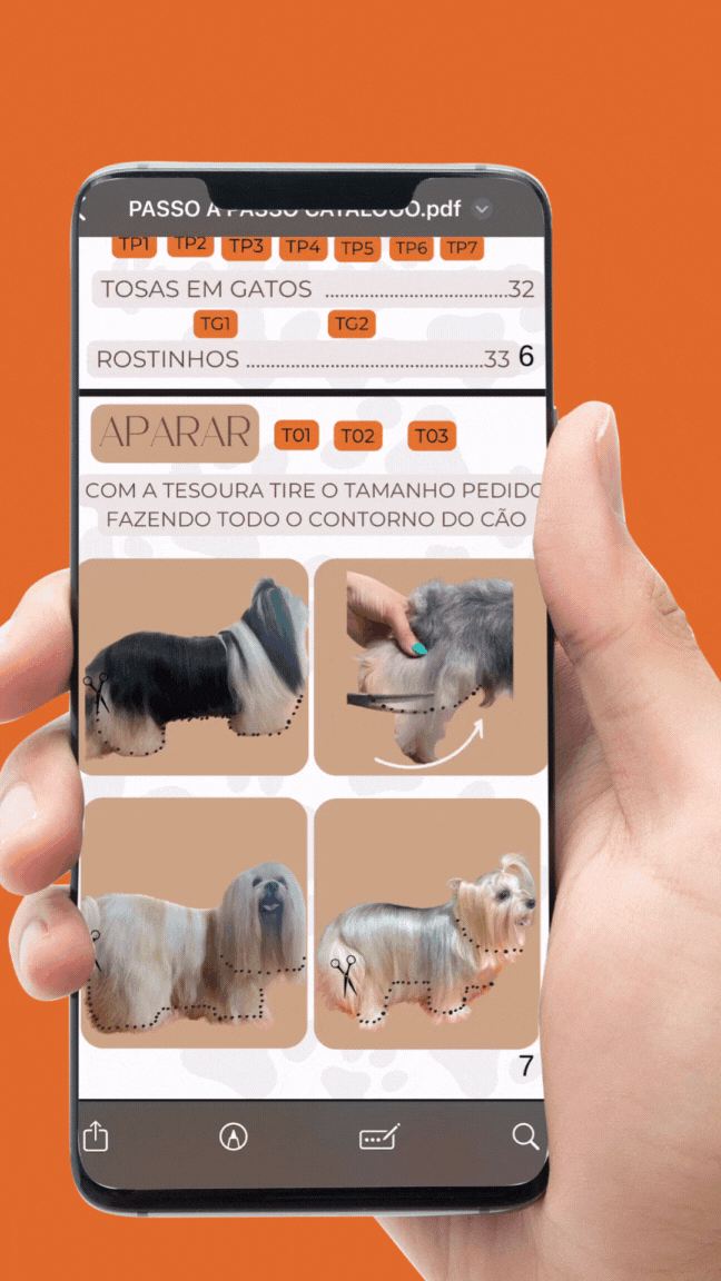 CATÁLOGO DE TOSAS DIGITAL