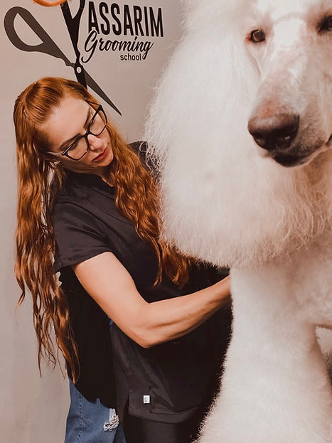 GROOMER ACADEMY CATÁLOGO DE TOSAS