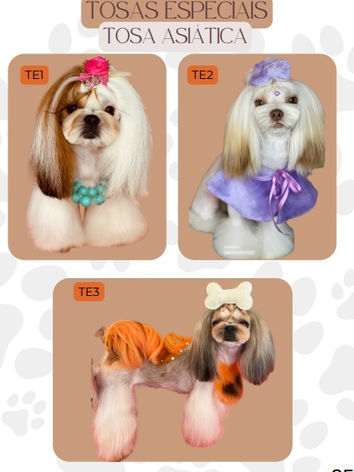 CATÁLOGO DE TOSAS - GROOMER ACADEMY - JANAINA SALETE