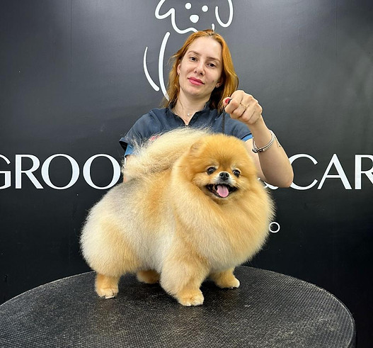 ESPECIALIZAÇÃO EM TOSAS DE SPITZ.jpg