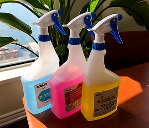 Health Protocol Specialty Cleaning Services Toronto