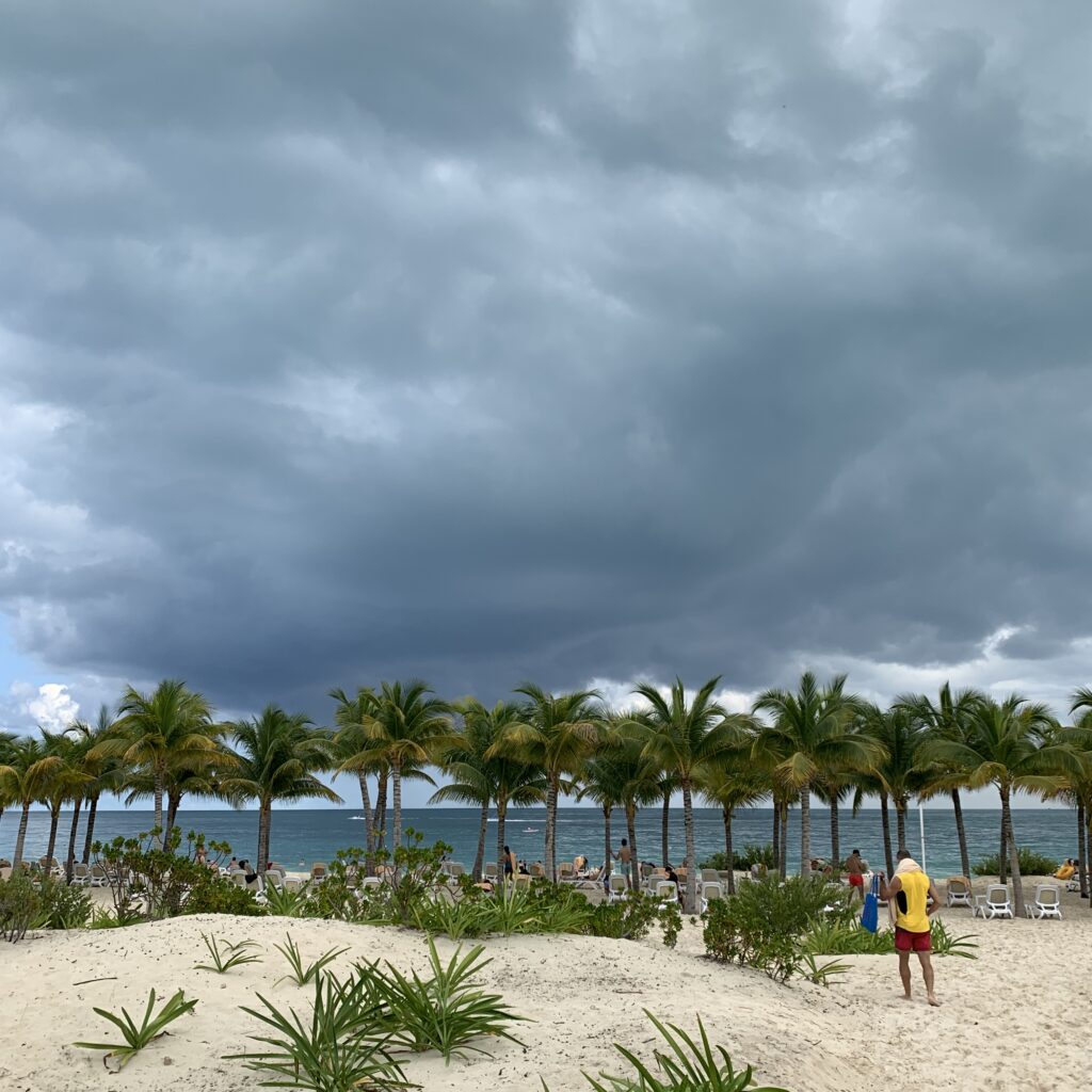 Beach scene with palm trees and dark clouds overhead. A person in a yellow shirt stands on sandy ground with green plants. Moody atmosphere.