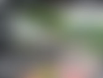 From Marathoner to Triathlete: My First Ironman 70.3 in Muskoka