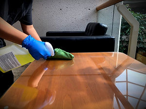 Sanitization Services Toronto