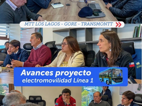 Rutaustral Consultores expone avances del proyecto de electromovilidad de Transmontt ante el Gobierno Regional de Los Lagos