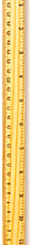 ruler_edited_edited.jpg