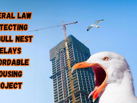 Seagull stops housing