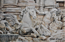 TREVI HORSE