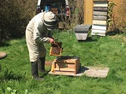 PETER & HIVE WITH BEES2.jfif