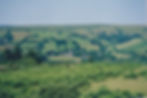 widecombe in the moor UK.jpg