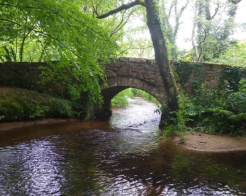 river bovey at low tide.jpg