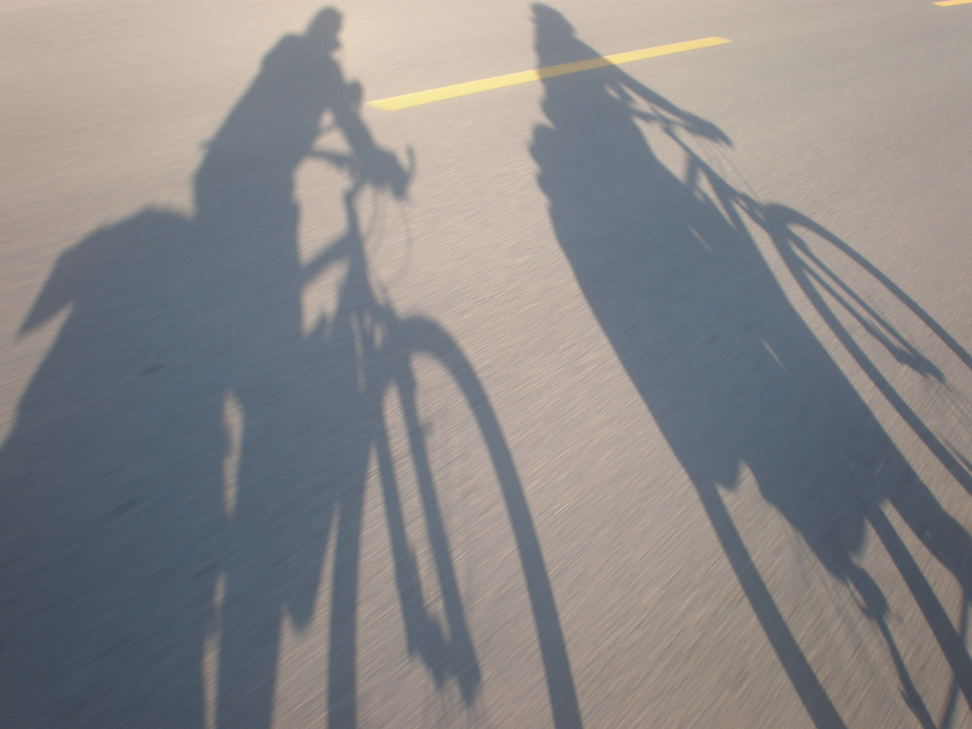 bike for long distance cycling