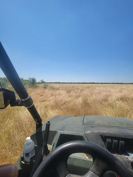 BRUSH SPRAYING