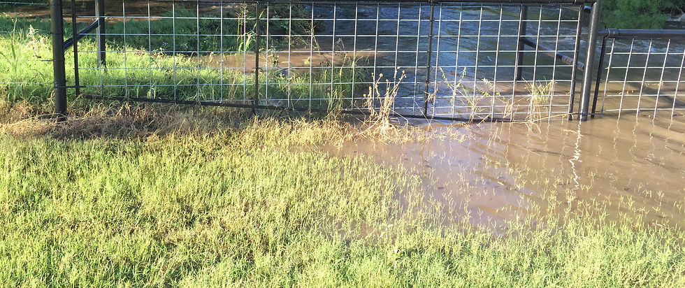 SWING GATE WATER GAP GATE