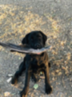 IMG_6148.jpeg