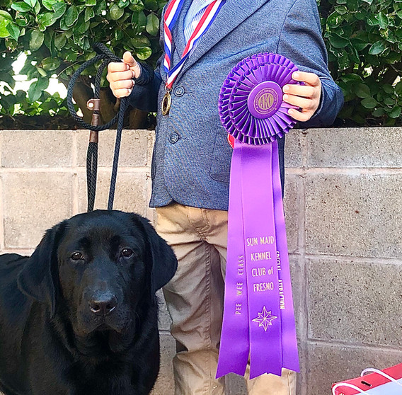 Meet the Breeder OKE Labradors