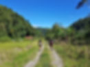 Panama Sendero Los Quetzales (8).jpg