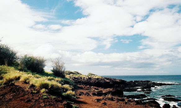 Lanai Shoreline | Color Photography | Christopher Fowler | TERAVARNA