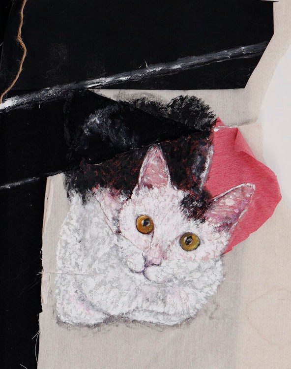 Cat 3 | Acrylic | Jiawei Fu | TERAVARNA