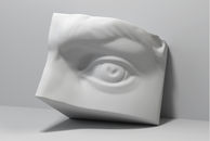 3D Eye